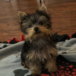 Meet your Posher, Kelly